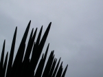 P1090413.JPG
