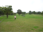 R1023919.JPG