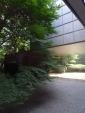 R1023984.jpg