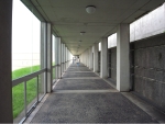 R1023994.JPG