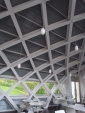 R1024018.jpg