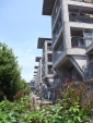 R1024059.jpg