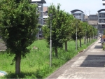 R1024062.JPG