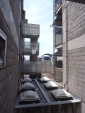 R1024069.jpg