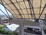 R1024072.JPG