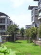 R1024080.jpg