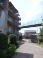R1024086.jpg