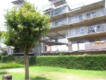 R1024087.JPG