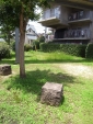 R1024088.jpg