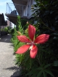 R1024093.jpg