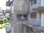 R1024096.JPG