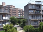 R1024097.JPG