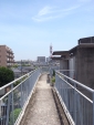 R1024103.jpg