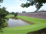 R1024114.JPG