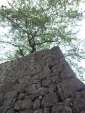 R1024128.jpg
