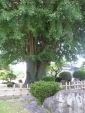 R1024137.jpg