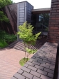 R1024158.jpg