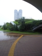 R1024199.jpg