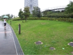 R1024212.JPG