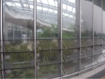 R1024219.JPG