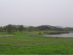 R1024228.JPG