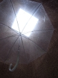 R1024234.jpg