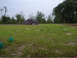 R1024240.JPG