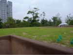 R1024243.JPG