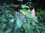 R1024284.JPG