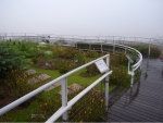 R1024291.JPG