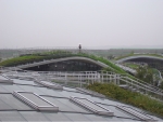 R1024298.JPG