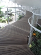 R1024303.jpg