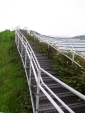 R1024305.jpg